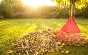 Jardiner en automne