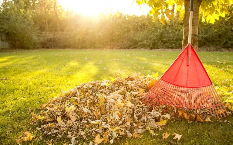 Jardiner en automne
