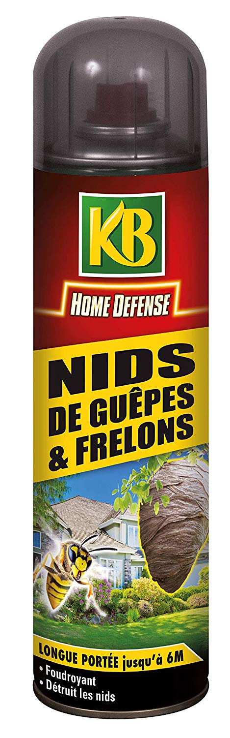 Aérosol insecticide nid de guêpes et frelons KB longue portée 500 ml