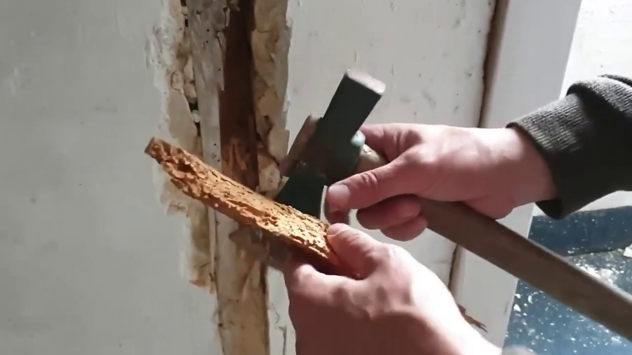 Vidéo YouTube