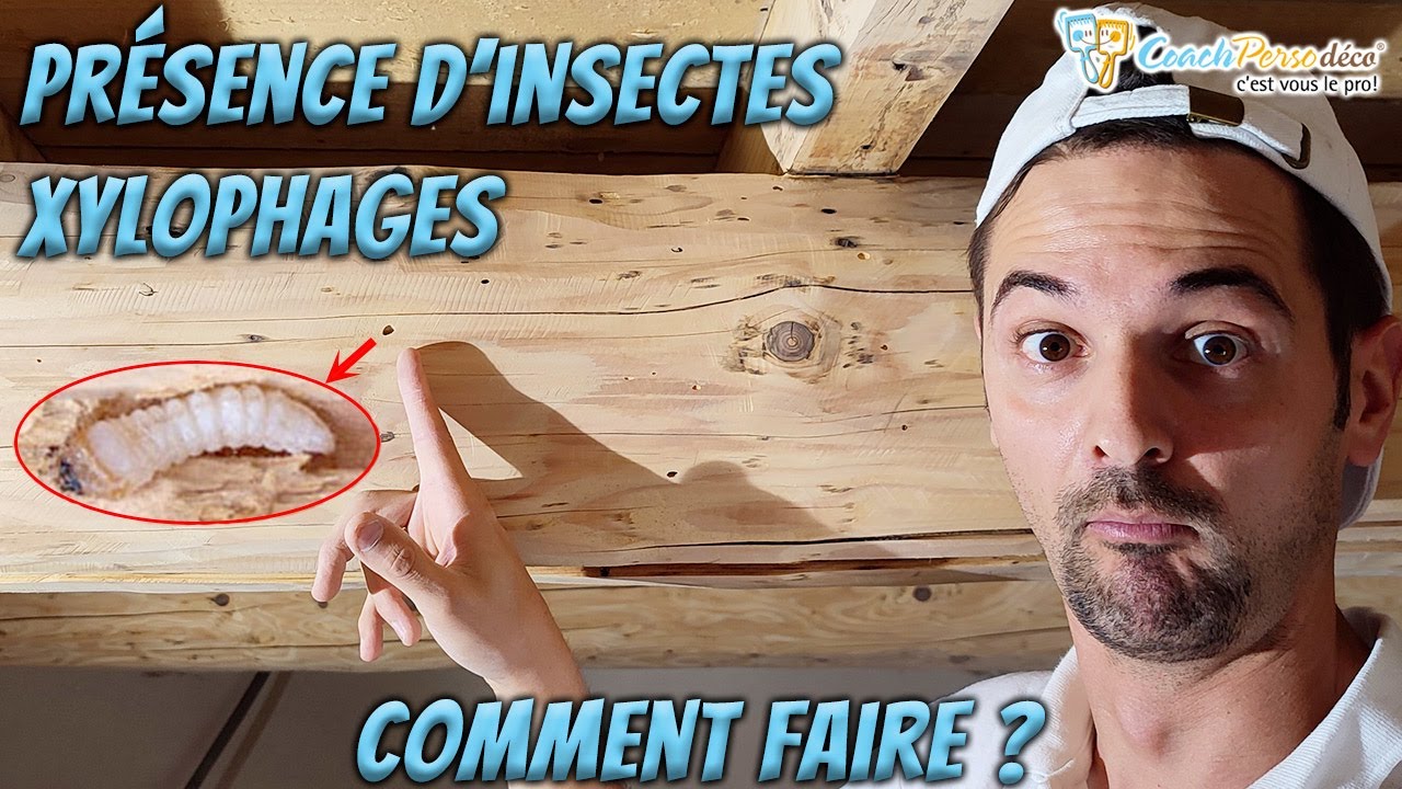 Vidéo YouTube