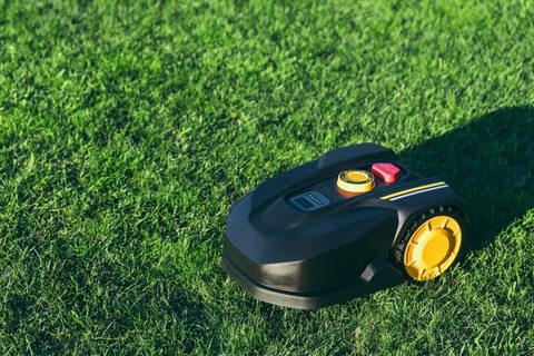 Robotic Lawn Mower cutting grass in the garden.