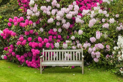 Comment concevoir soi-même un banc en bois pour jardin ?