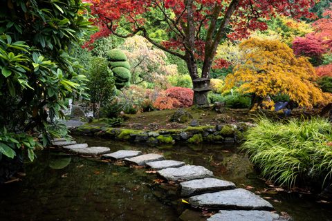 Aménager un jardin élégant avec des pas japonais en pierre naturelle