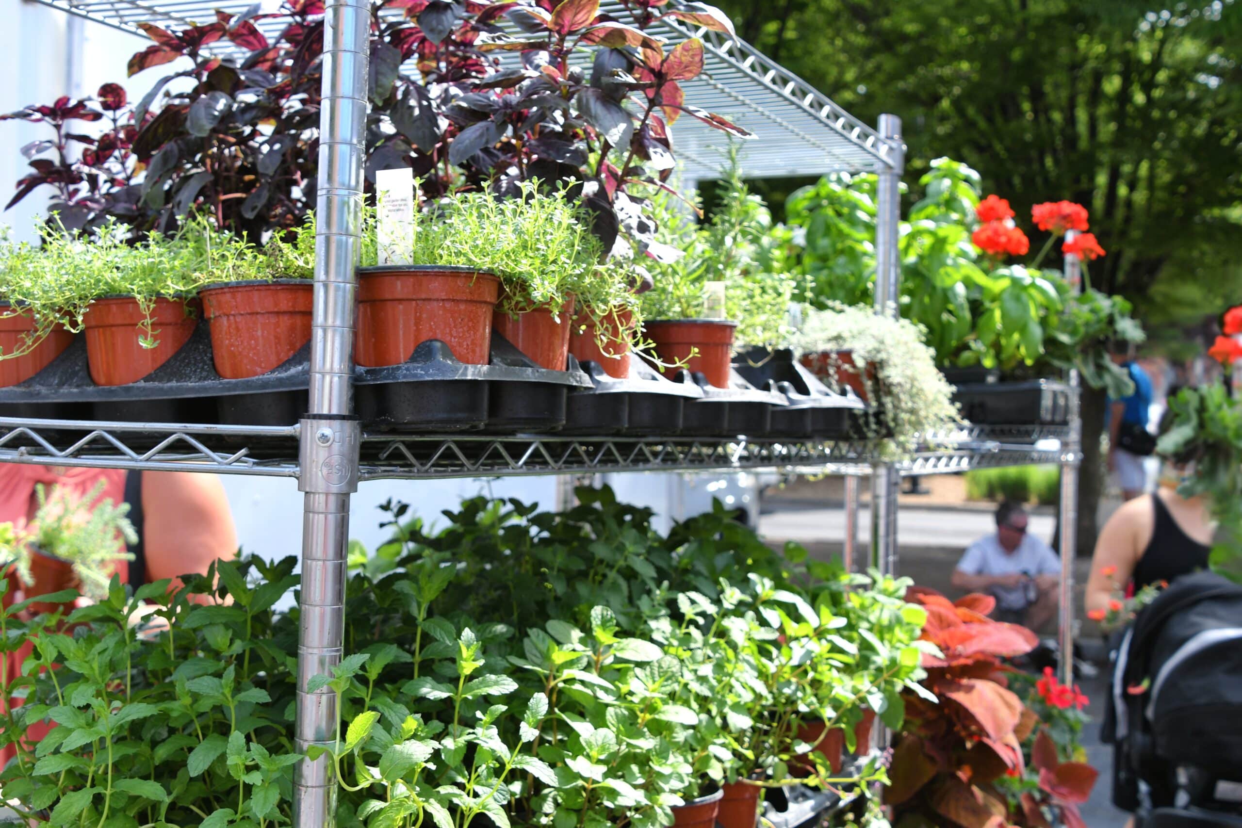 Comment aménager son extérieur avec une étagère en métal