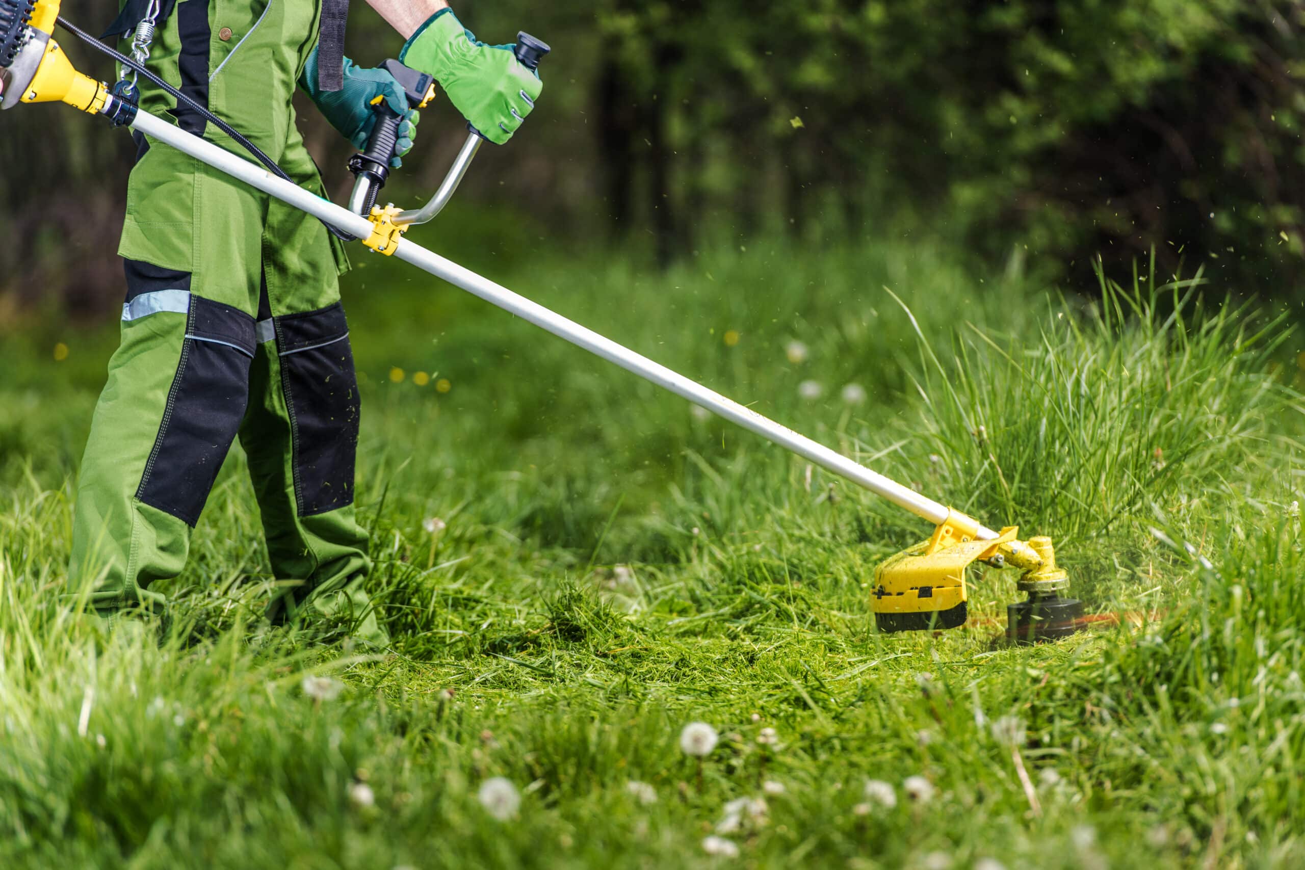 Débroussailleuse jardin comment choisir le modèle adapté à vos besoins