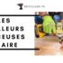 Scie circulaire : l’outil électro portatif à avoir