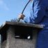Comment poser un verrou sur une porte extérieure ?