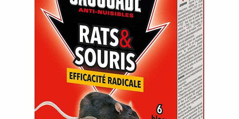 6 blocs rats et souris Caussade CARSBL180. Efficacité radicale, pour pièces humides comme le garage et la cave