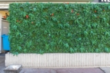 Mur végétal artificiel : que savoir sur ce type de couvert végétal ?