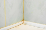 Comment éviter les moisissures dans votre salle de bain ?