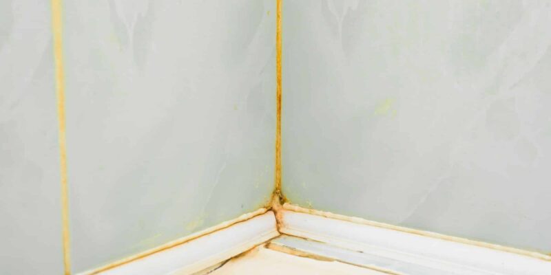Comment éviter les moisissures dans votre salle de bain ?