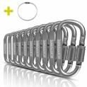 Lot de 10 mousquetons en alliage aluminium inoxydable, à visser