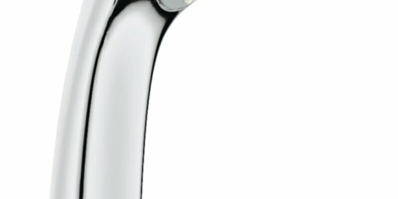 Douchette à main 1 Jet GROHE Euphoria 110 Mono, Chromé