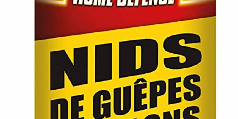 Aérosol insecticide nid de guêpes et frelons KB longue portée 500 ml