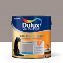 Peinture Color Resist Dulux Valentine – Lessivable et resistante pour Murs & Boiseries – aspect Mat Taupe Collector 2,5 L – Dulux Valentine