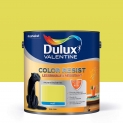 Peinture Color Resist Dulux Valentine – Lessivable et resistante pour Murs & Boiseries – aspect Mat Topaze Verte 2,5 L – Dulux Valentine