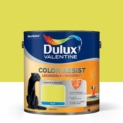 Peinture Color Resist Dulux Valentine – Lessivable et resistante pour Murs & Boiseries – aspect Mat Topaze Verte 2,5 L – Dulux Valentine