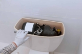 Comment changer un mécanisme de chasse d’eau facilement ?