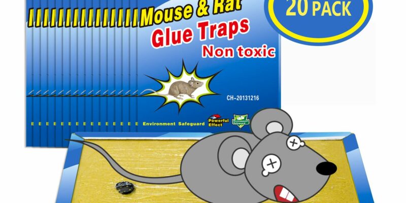 Lot de 20 plaques de piège à souris et rats